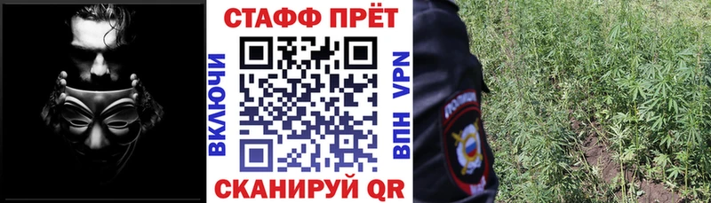 Купить закладку Канабис  Alpha PVP  Гашиш  Меф  Катав-Ивановск