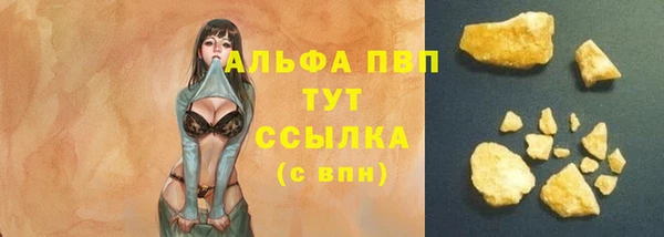 стафф Богданович