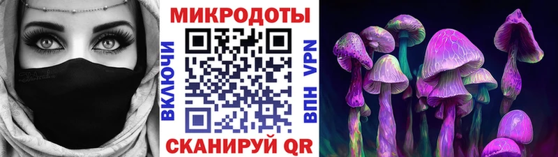 Псилоцибиновые грибы прущие грибы  Купить закладки  Катав-Ивановск 