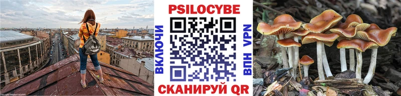 Псилоцибиновые грибы прущие грибы Катав-Ивановск