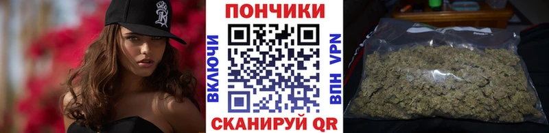 Купить закладки  Катав-Ивановск  Бошки Шишки гибрид 